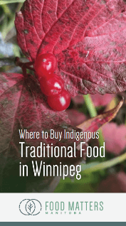 Food Matters Manitoba: Where to Buy Indigenous Traditional Food in Winnipeg